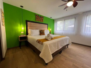 Dk2 complete studio in Zona Viva